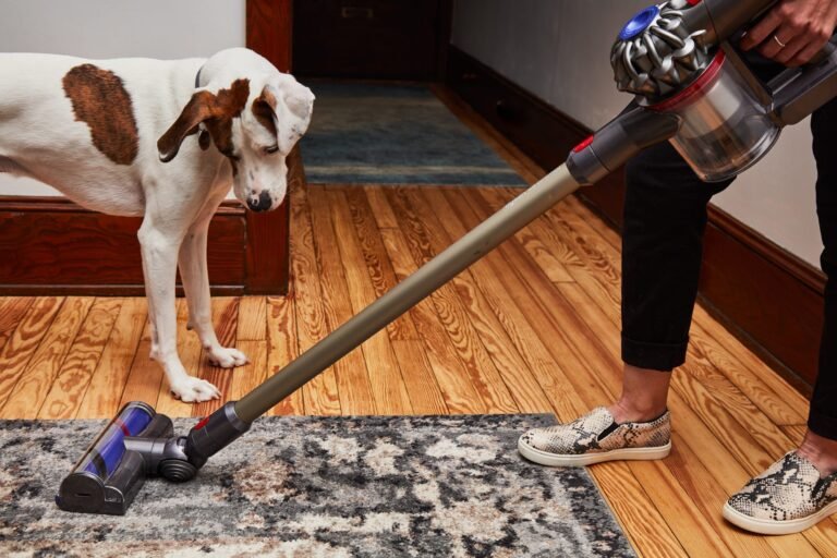 Vacuum For Pet Hair And Hardwood Floors